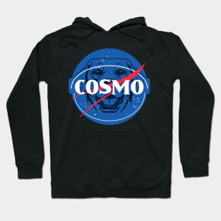 Cute Cosmo Astronaut Cosmonaut Space Dog Superhero Hoodie